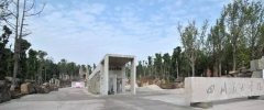 <b>邻接沙坪、区办公大楼</b>